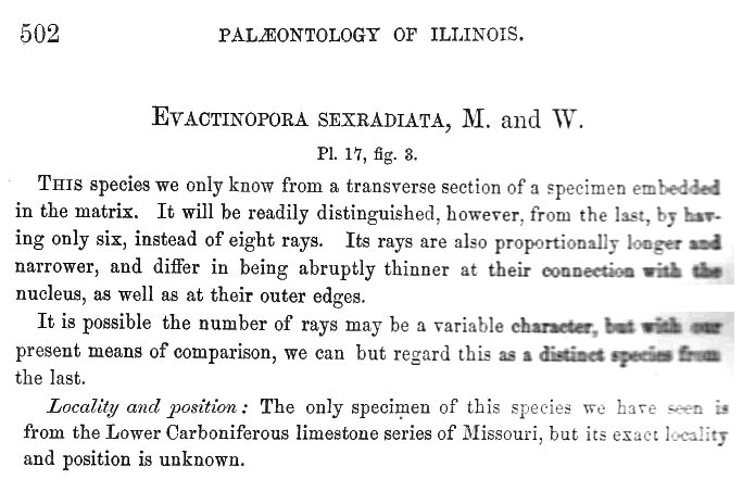 Evactinopora sexradiata