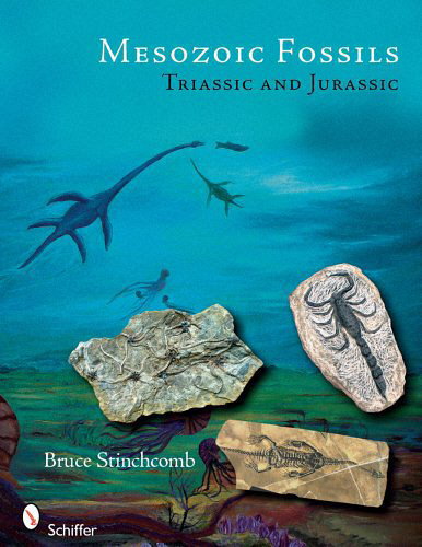 Mesozoic Fossils: Triassic and Jurassic