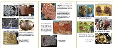 World's Oldest Fossils