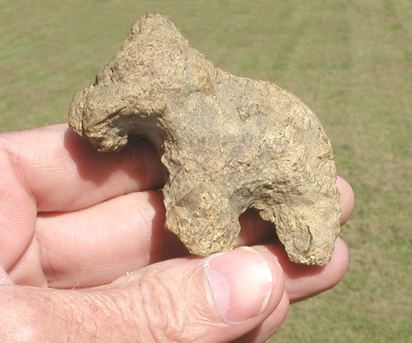 fossil horse