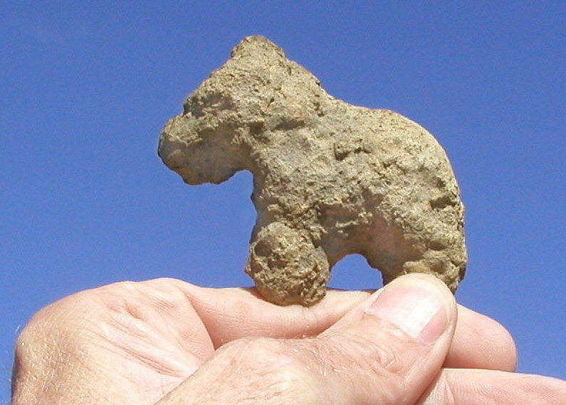 fossil horse