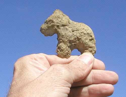fossil horse