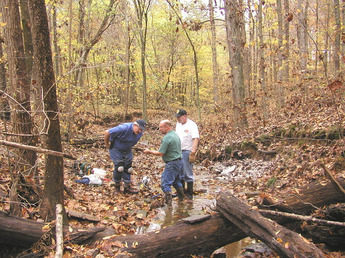 Autumn fossil hunt in Illinois