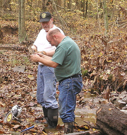 Autumn fossil hunt in Illinois