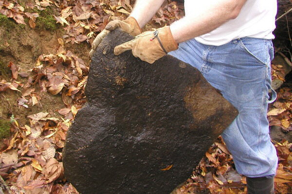Autumn fossil hunt in Illinois