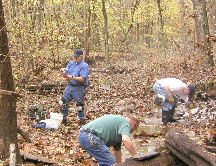 Autumn fossil hunt in Illinois