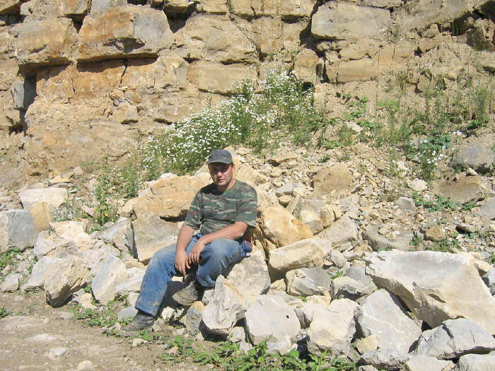 Visean Stage Aleksian-Mikhailovian substages quarry