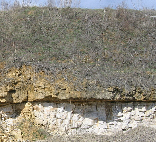 Gzhel quarry section