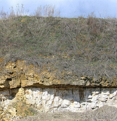 Gzhel quarry section