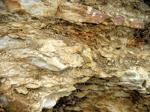 Interbeds of limestone and shale