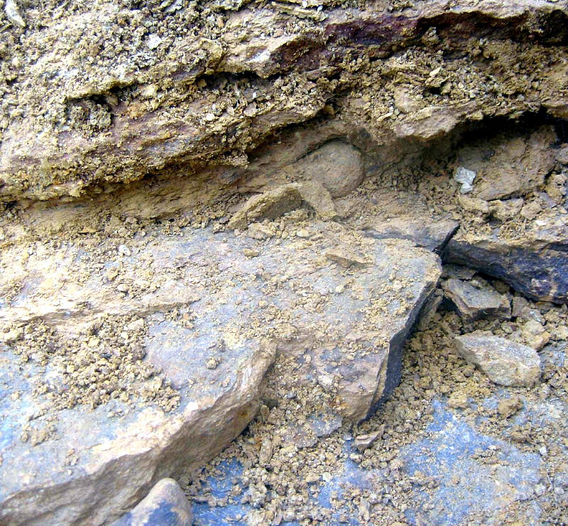 Thin bedded limestone