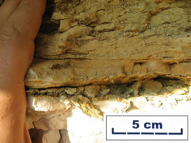 Basal layer of transgressive unit