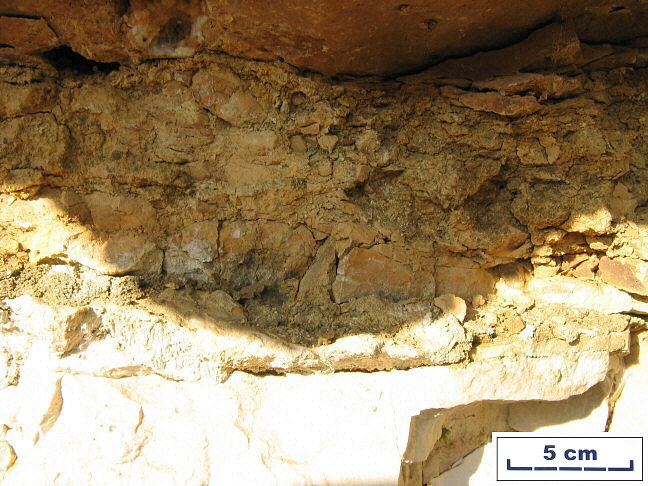 Basal layer of transgressive unit