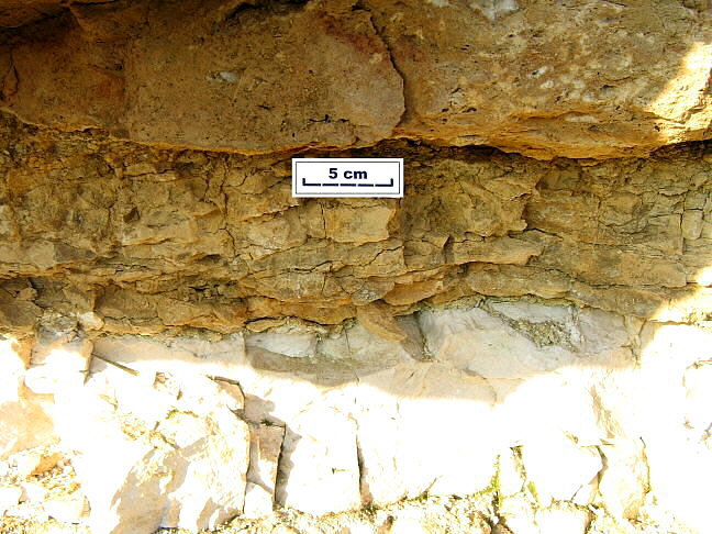 Basal layer of transgressive unit