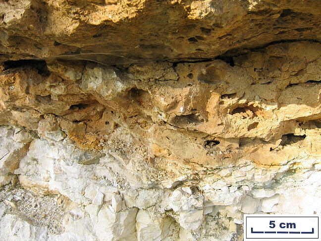 Basal layer of transgressive unit