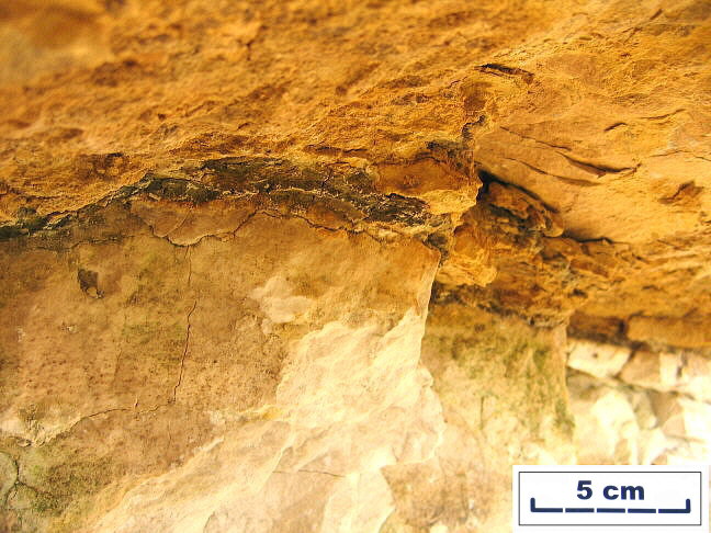 boundary at contact of Gzhelian and Kasimovian strata