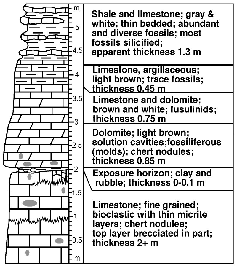 Stratigraphy chart - Gzhel quarry, Gzhel village