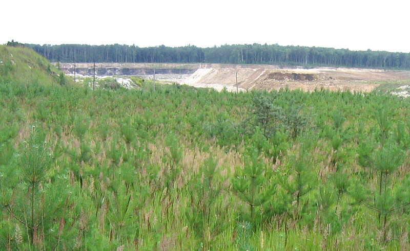 Summer Fossil Hunt in Russia