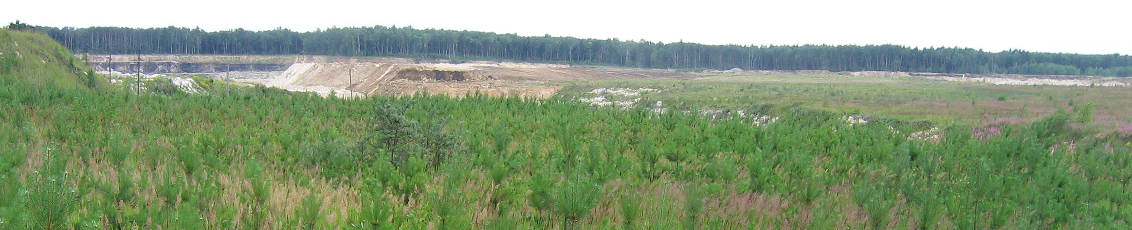 Summer Fossil Hunt in Russia