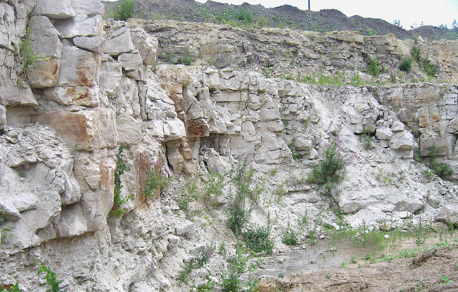 Summer Fossil Hunt in Russia