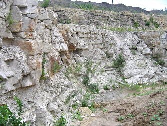 Summer Fossil Hunt in Russia