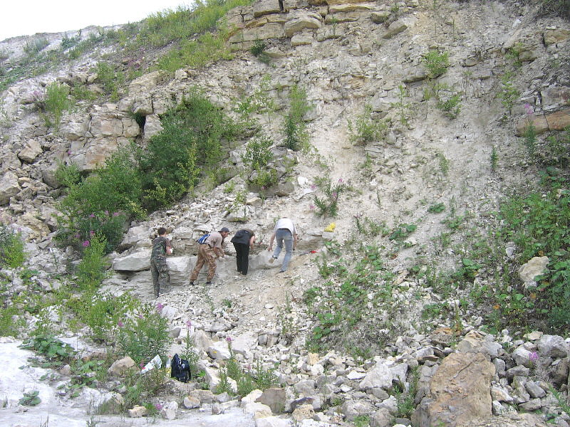 Summer Fossil Hunt in Russia