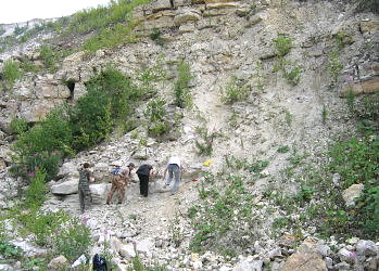 Summer Fossil Hunt in Russia