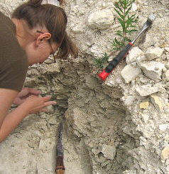 Summer Fossil Hunt in Russia