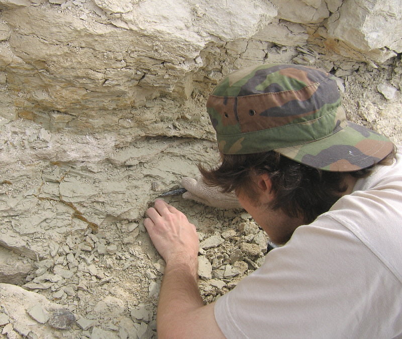 Summer Fossil Hunt in Russia