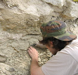 Summer Fossil Hunt in Russia