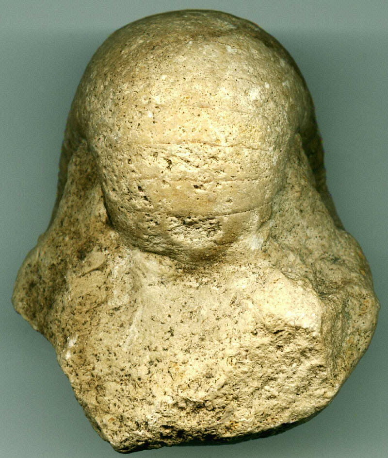 Liroceras excentricum (Eichwald, 1857)